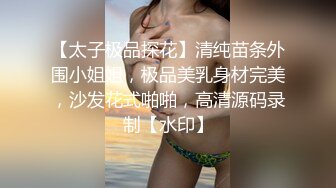 【太子极品探花】清纯苗条外围小姐姐，极品美乳身材完美，沙发花式啪啪，高清源码录制【水印】