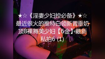 ★☆《淫妻少妇控必备》★☆最近很火的推特白领新晋垂奶顶B裸舞美少妇【6金】最新私拍6 (1)