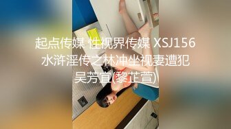 起点传媒 性视界传媒 XSJ156 水浒淫传之林冲坐视妻遭犯 吴芳宜(黎芷萱)