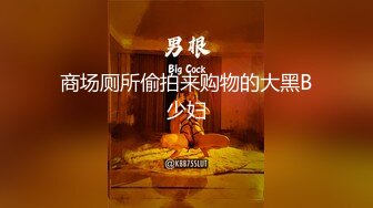 《司雨》人肉吞精器-车内风光