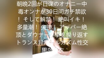 朝晩2回が日课のオナニー中毒オンナが30日间ガチ禁欲！ そして解禁！ 絶叫イキ！ 多量潮！ 失神！ アッパー絶顶とダウナー痉挛を缲り返すトランス异常オルガズム性交 黒岛玲衣