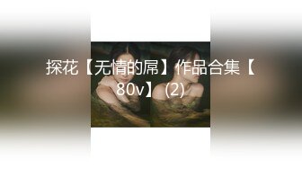 探花【无情的屌】作品合集【80v】 (2)