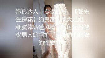 泡良达人，专攻少妇，【张先生探花】约良家温柔大姐姐，细腻体贴懂风情，鲍鱼还粉缺少男人的呵护，完美偷拍刺激的性爱旅程