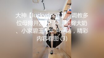 大神【luckydog7】，调教多位母狗开发3P 4P，肥臀大奶、小家碧玉，叫声淫荡，精彩内容看图 (3)