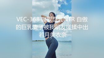 VEC-368 寝取巨乳NTR 自傲的巨乳妻子被我朋友搓揉中出 若月美衣奈