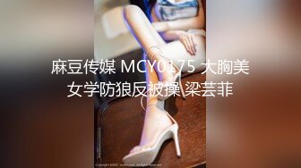 麻豆传媒 MCY0175 大胸美女学防狼反被操 梁芸菲