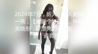 二次元女友