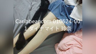 Caribbeancom 010624-001 ダイナマイト 玲奈