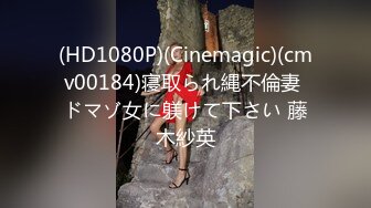 (HD1080P)(Cinemagic)(cmv00184)寝取られ縄不倫妻 ドマゾ女に躾けて下さい 藤木紗英