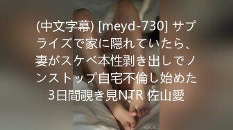 (中文字幕) [meyd-730] サプライズで家に隠れていたら、妻がスケベ本性剥き出しでノンストップ自宅不倫し始めた3日間覗き見NTR 佐山愛