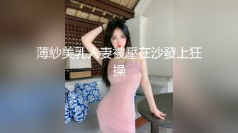 薄紗美乳人妻被壓在沙發上狂操