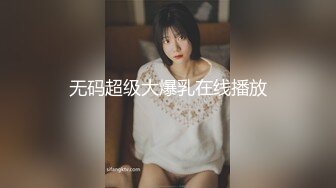 无码超级大爆乳在线播放