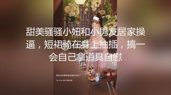 甜美骚骚小妞和小男友居家操逼，短裙骑在身上抽插，搞一会自己拿道具自慰