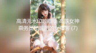 高清无水印珍藏版 高铁女神乘务员和靓丽的女乘客 (7)