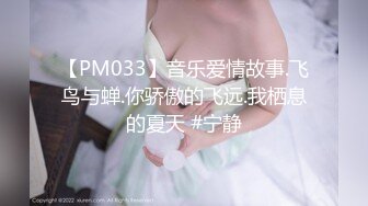 【PM033】音乐爱情故事.飞鸟与蝉.你骄傲的飞远.我栖息的夏天 #宁静