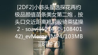 [2DF2]小陈头星选探花再约极品颜值苗条美女第二炮，按头口交近距离翘屁股骑乘猛操 2 - soav(3521450-10840142)_evMerge [MP4/103MB][BT种子]