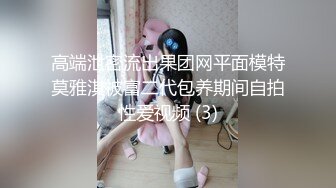 MD-0137 钟丽琪 窃贼误闯入阴道内E奶贵妇强上傻小贼 麻豆传媒映画