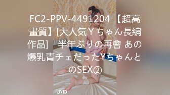 FC2-PPV-4491204 【超高畫質】[大人気Ｙちゃん長編作品]　半年ぶりの再會 あの爆乳青チェだったYちゃんとのSEX②