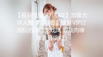 【极品性爱淫乱群交】加拿大华人圈『索菲娅』最新VIP订阅私拍④二龙戏凤 双战肉棒 车震骚货 (1)