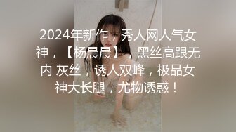 2024年新作，秀人网人气女神，【杨晨晨】，黑丝高跟无内 灰丝，诱人双峰，极品女神大长腿，尤物诱惑！