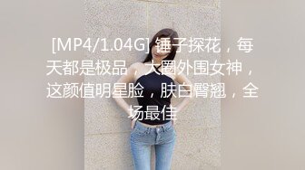 [MP4/1.04G] 锤子探花，每天都是极品，大圈外围女神，这颜值明星脸，肤白臀翘，全场最佳