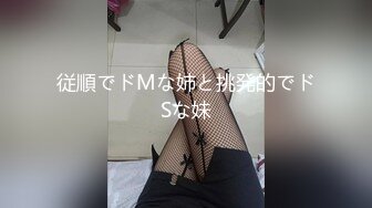 従順でドMな姉と挑発的でドSな妹