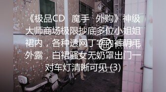 《极品CD✅魔手☛外购》神级大师商场极限抄底多位小姐姐裙内，各种透网丁字内裤阴毛外露，白裙骚女无奶罩出门一对车灯清晰可见 (3)