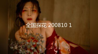 全国探花 200810 1