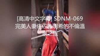 [高清中文字幕] SDNM-069完美人妻佐佐木明希的不倫溫泉之旅