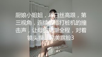 厨娘小姐姐，JK白丝高跟，第三视角，连续抽插打桩机的撞击声，让母狗高潮全程，对着镜头操，完美露脸3