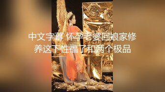 中文字幕 怀孕老婆回娘家修养这下性福了和两个极品