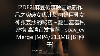 [2DF2]麻豆传媒映画最新作品之突袭女优计划~f奶巨乳女神张芸熙的秘密～翻出羞羞私密物 高清首发推荐 - soav_evMerge [MP4/213MB][BT种子]