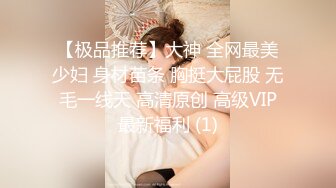 【极品推荐】大神 全网最美少妇 身材苗条 胸挺大屁股 无毛一线天 高清原创 高级VIP最新福利 (1)