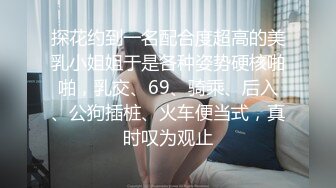 探花约到一名配合度超高的美乳小姐姐于是各种姿势硬核啪啪，乳交、69、骑乘、后入、公狗插桩、火车便当式，真时叹为观止