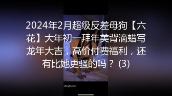 2024年2月超级反差母狗【六花】大年初一拜年美背滴蜡写龙年大吉，高价付费福利，还有比她更骚的吗？ (3)