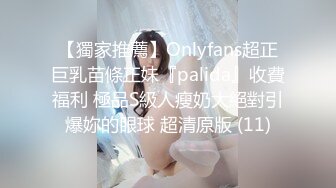 【獨家推薦】Onlyfans超正巨乳苗條正妹『palida』收費福利 極品S級人瘦奶大絕對引爆妳的眼球 超清原版 (11)