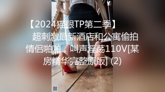 【2024猫眼TP第二季】☀️☀️超刺激最新酒店和公寓偷拍情侣啪啪，叫声淫荡110V[某房精华完整原版] (2)