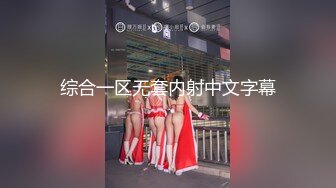 综合一区无套内射中文字幕