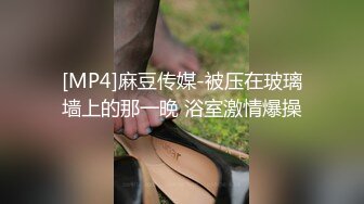 [MP4]麻豆传媒-被压在玻璃墙上的那一晚 浴室激情爆操