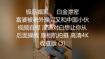 ❤️极品媚黑❤️白金泄密❤️富婆被老外操完又和中国小伙视频自慰 淫语对白想让你从后面操我 原相机拍摄 高清4K收藏版 (3)