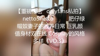 【重磅泄密✨onlyfans私拍】☀️netto5netto☀️▶▶肥仔绿帽奴妻子的放养日常 巨乳颜值身材双在线 Cosplay的风格多样《VO.3》