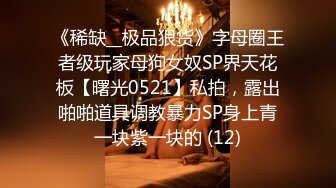 《稀缺__极品狠货》字母圈王者级玩家母狗女奴SP界天花板【曙光0521】私拍，露出啪啪道具调教暴力SP身上青一块紫一块的 (12)