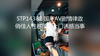 STP14382 国产AV剧情律政俏佳人性感律师上门诱惑当事人啪啪