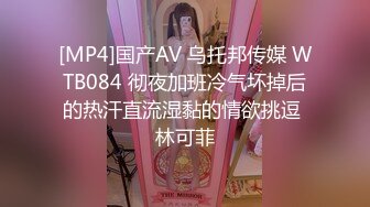 [MP4]国产AV 乌托邦传媒 WTB084 彻夜加班冷气坏掉后的热汗直流湿黏的情欲挑逗 林可菲