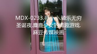 MDX-0233.寻小小.骑乐无穷圣诞夜.麋鹿少女的情趣游戏.麻豆传媒映画