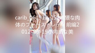 麻豆传媒 TZ-041 岛国女仆为你服务 中野惠子