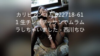 カリビアンコム 022718-611 生チンポデッサンでムラムラしちゃいました - 西川ちひろ