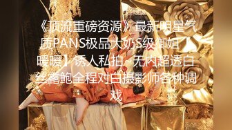 《顶流重磅资源》最新明星气质PANS极品大奶S级御姐【暖暖】诱人私拍~无内超透白丝露鲍全程对白摄影师各种调戏