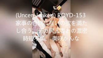 (Uncen-leaked) ROYD-153 家事の合間に互いの欲を満たし合う、デカ尻人妻との濃密時短不倫。 美咲かんな