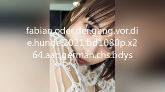 fabian.oder.der.gang.vor.die.hunde.2021.bd1080p.x264.aac.german.chs.bdys